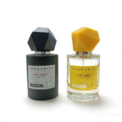 Leer 50 ml und 100 ml Parfümflasche Set, Luxus Glas Duftbehälter mit Sprühpumpe Atomizer, Matte/Glanz Finish