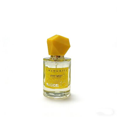 Leer 50 ml und 100 ml Parfümflasche Set, Luxus Glas Duftbehälter mit Sprühpumpe Atomizer, Matte/Glanz Finish