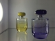Ovale Glas-Parfüm-Sprühflasche-kundenspezifische Lackierungsfarbe der Kappen-110ml